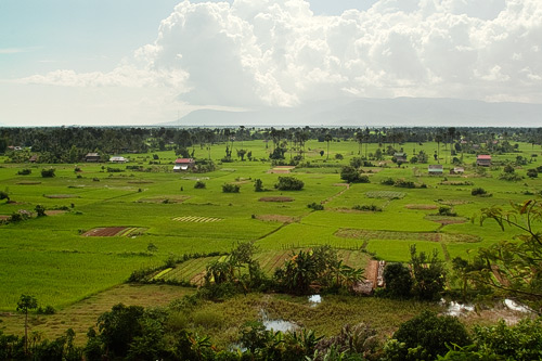 Bello paisaje repleto de campos de arroz