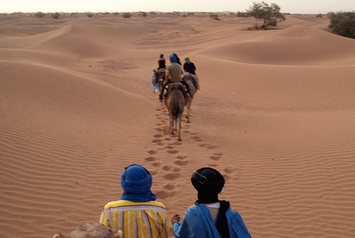 Foto algo movida (por culpa del camello) por las dunas