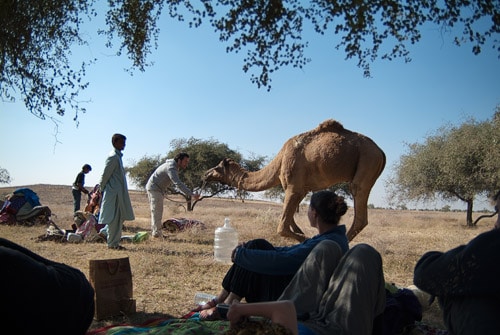 Secuencia adiestrador de camellos 2