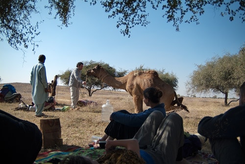 Secuencia adiestrador de camellos 3