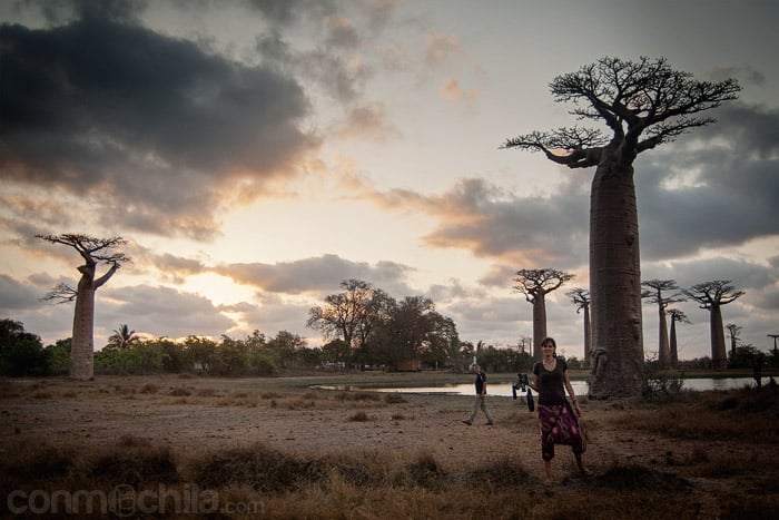 Carme en la avenida del baobab