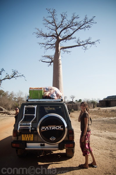 Avistando baobabs de camino a Morondava