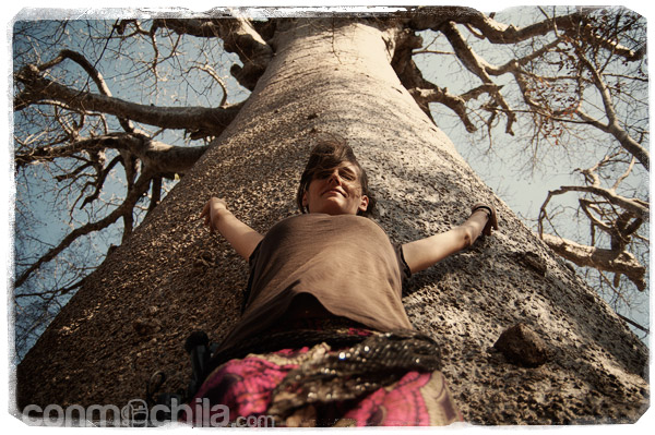 Con el gran baobab