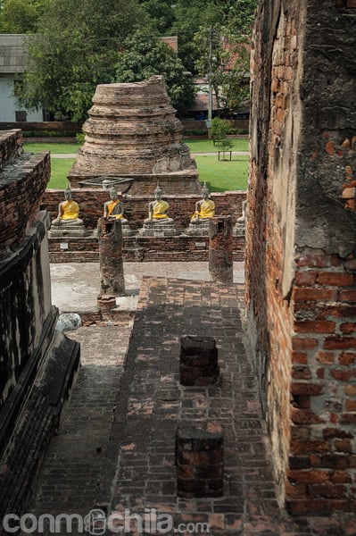 Budas alrededor de la estupa
