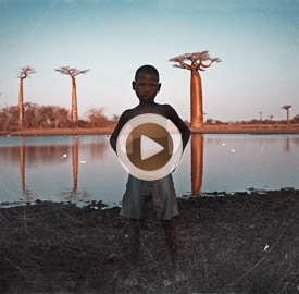 Vídeo final Madagascar