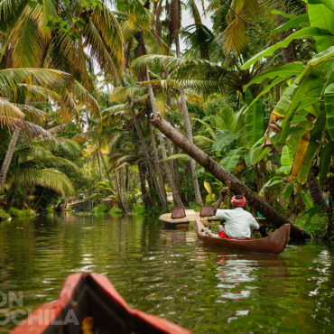 Los estrechos (y fotogénicos) canales de los Backwaters de Kerala