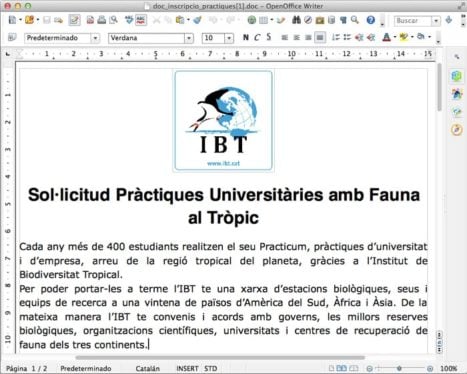 El documento del IBT para las "prácticas universitarias"