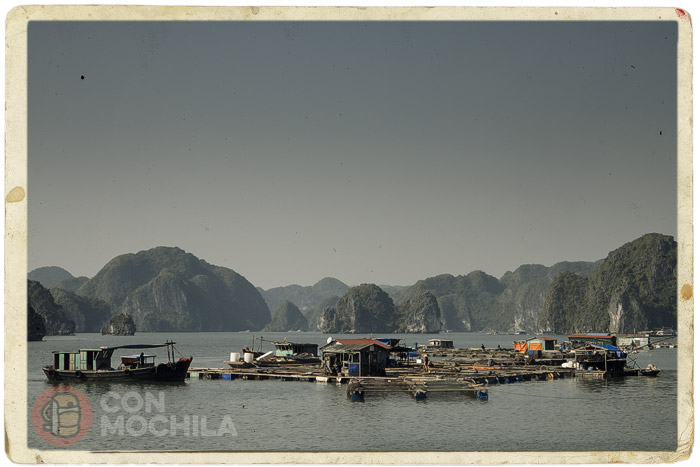 La bahía de Halong y una aldea flotante de pescadores