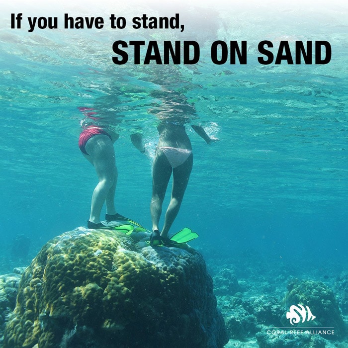 Si necesitas ponerte de pie, hazlo sobre la arena, no en el coral