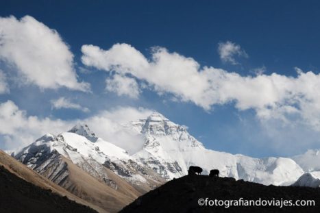 En la base del monte Everest, la cima del mundo