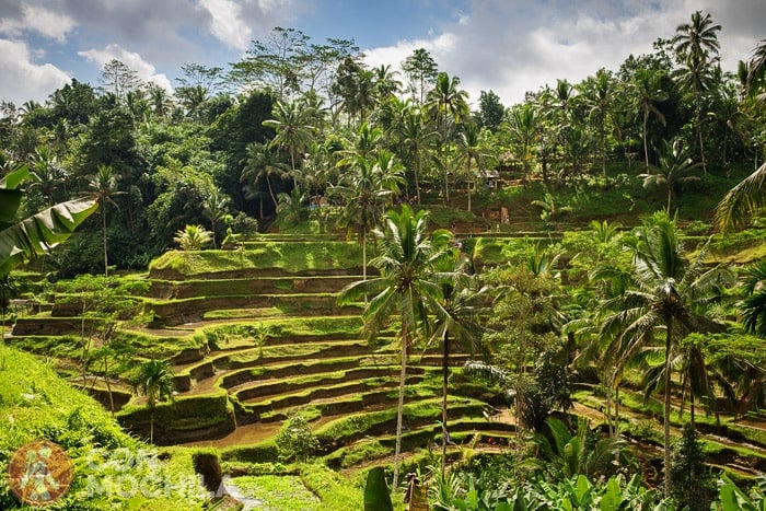Paisaje de Bali
