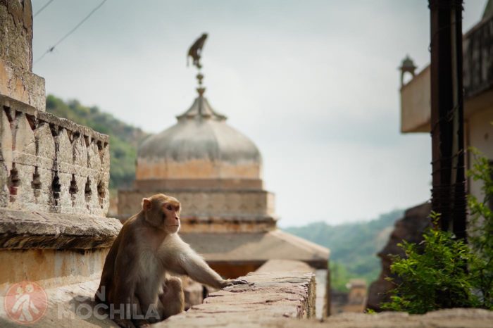 Jaipur Guia de viaje Templo de Galta
