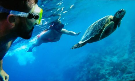 Haciendo snorkel con tortugas en las islas Gili