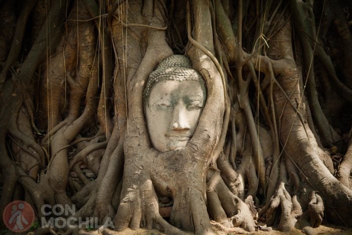 Wat Mahatat, de los más importantes que ver en Tailandia