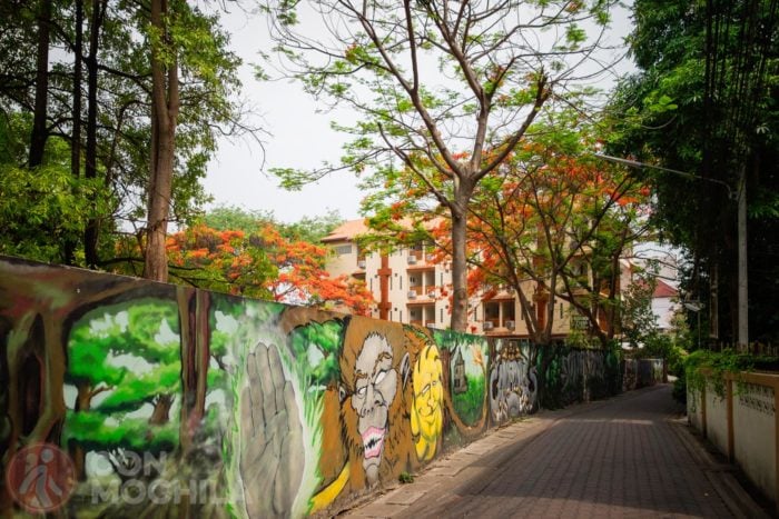 Arte urbano en Chiang MAI, de obligada visita que hacer en Tailandia