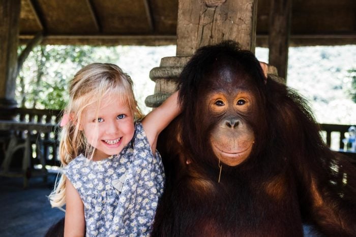 Niña y orangután