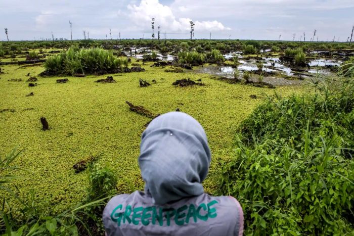 Greenpeace aceite de palma Malasia Indonesia