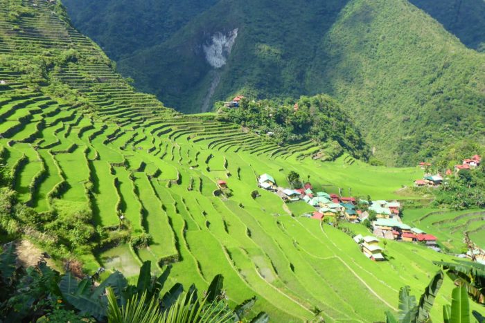 Terrazas de arroz en Batad