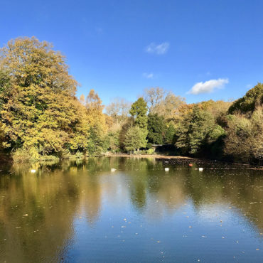 Hampstead Heath Ponds