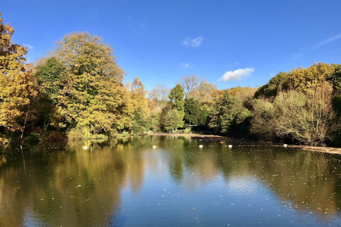 Hampstead Heath Ponds