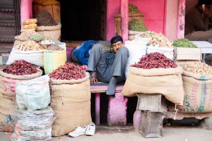 Mercado de las especias en Bikaner