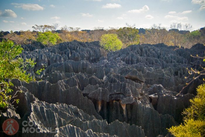 Las formaciones rocosas del Tsingy