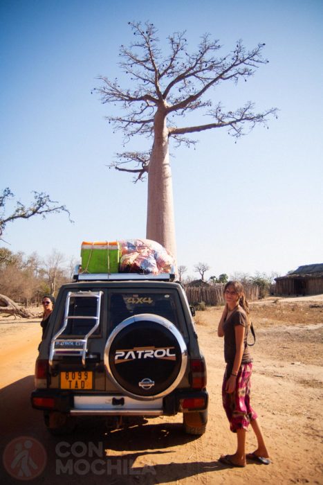 ¿Cómo llegar a la avenida de los baobabs?