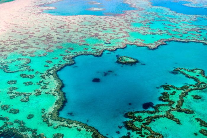 Se dice que la Gran Barrera de Coral, en la costa de Queensland, Australia, se puede ver desde la Luna.