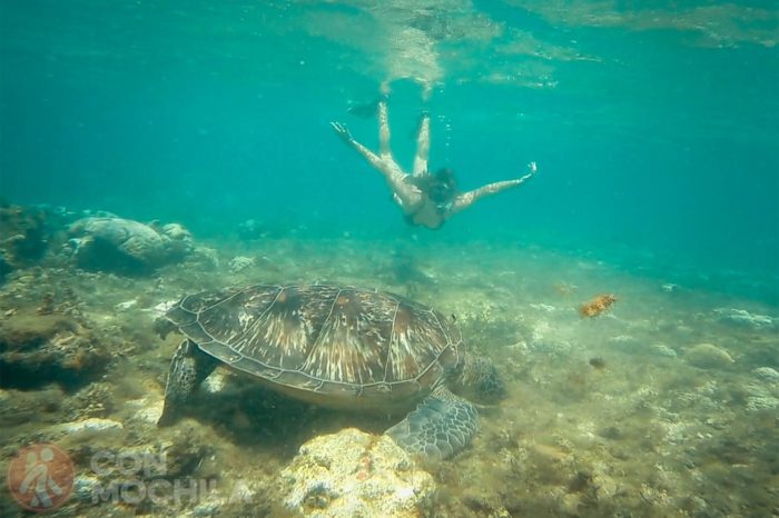 Snorkel en Siquijor