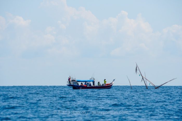 Diferentes barcos de pesca navegaban por la zona, algunos son de pesca tradicional pero también había mucha flota de arrastre.