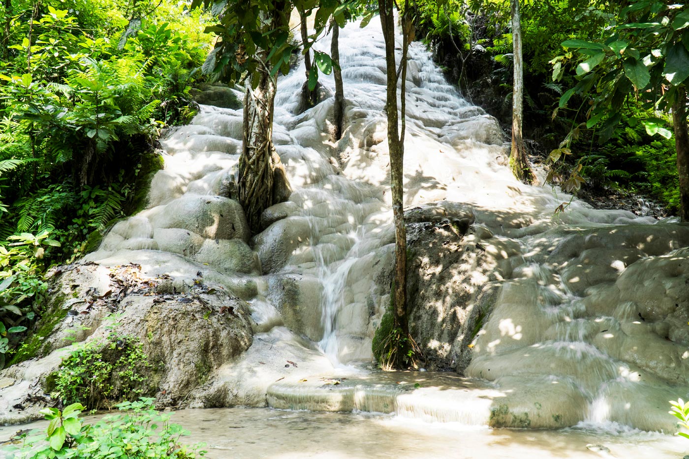 Bua Tong waterfalls
