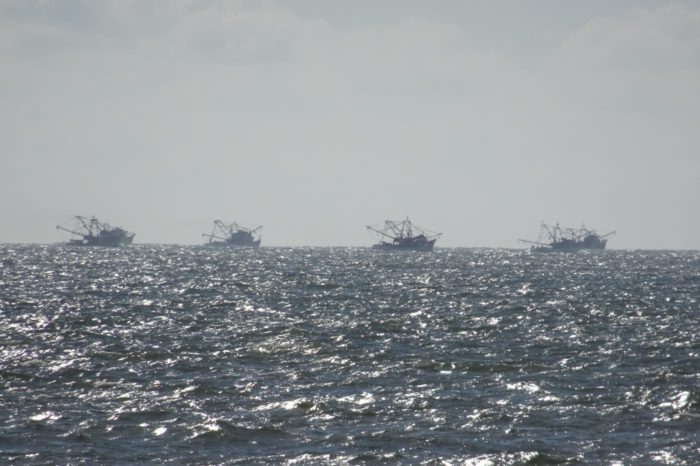 Flota pesquera de Mazatlán