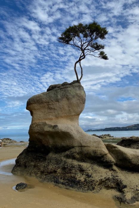 Las playas de Abel Tasman National Park son únicas