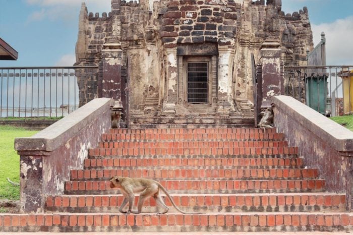 La entrada al templo de los monos en Lopburi