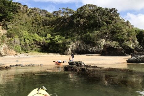 Kayak hasta una isla de Bay of Island