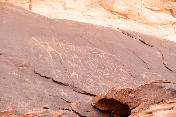 Petroglifos en Wadi Rum