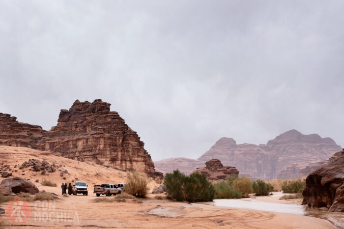 Beduinos reconvertidos al turismo