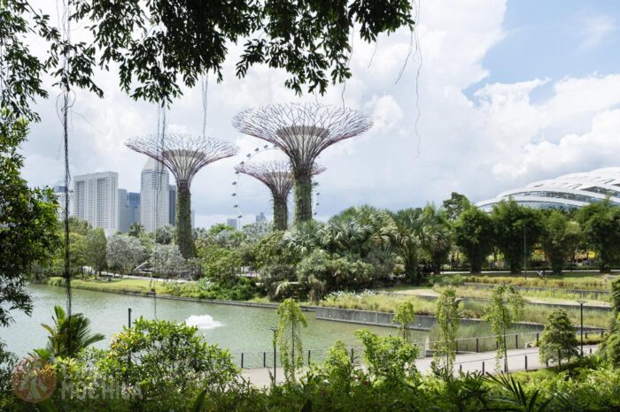 Gardens by the bay