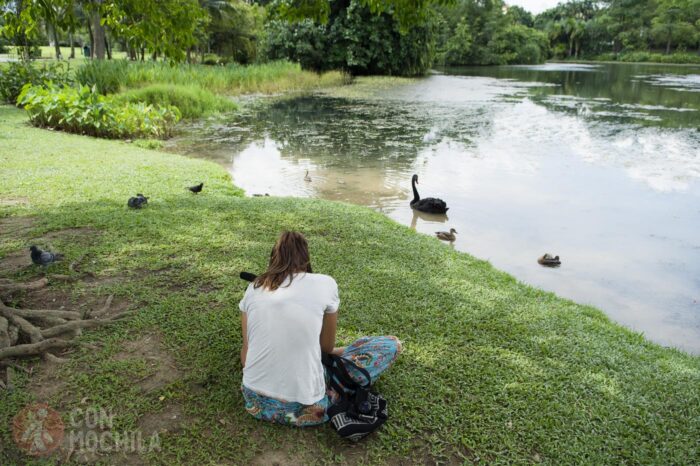 Jardín botánico de Singapur